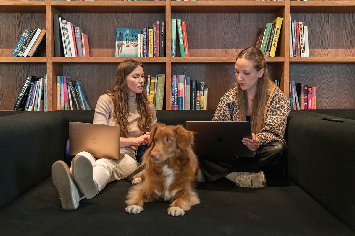 Rocket Saas team at work