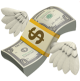 money with wings icon