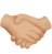 icon hand